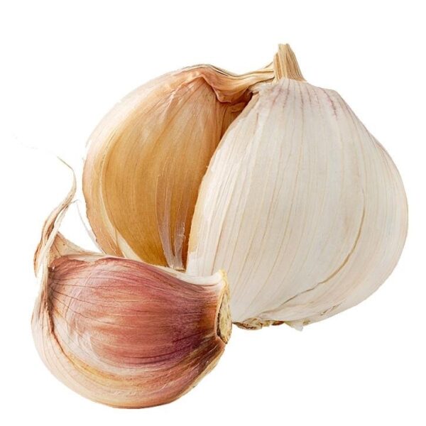 Ajo