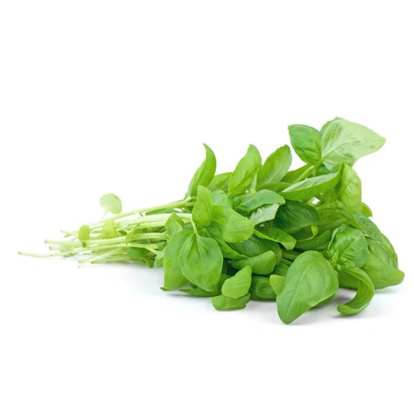 Albahaca - 1 kg 12000